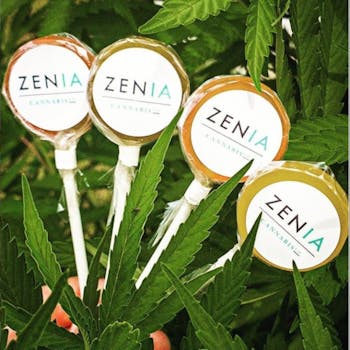 Lollipops - Assorted Flavors - (50mg)